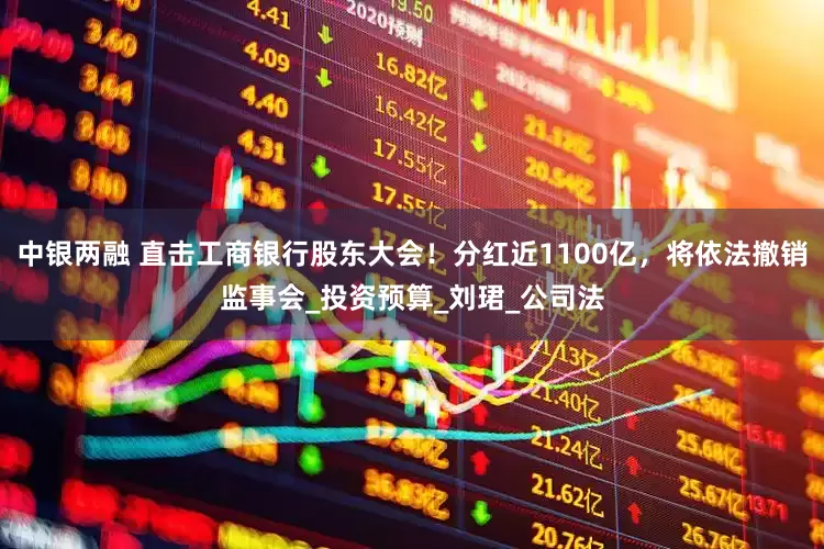 中银两融 直击工商银行股东大会！分红近1100亿，将依法撤销监事会_投资预算_刘珺_公司法