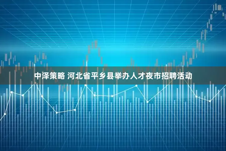 中泽策略 河北省平乡县举办人才夜市招聘活动