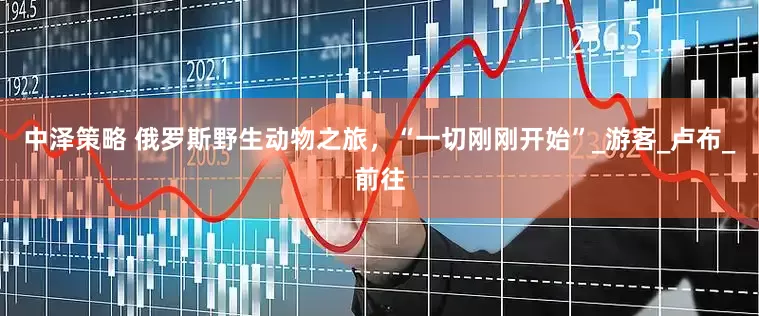 中泽策略 俄罗斯野生动物之旅，“一切刚刚开始”_游客_卢布_前往