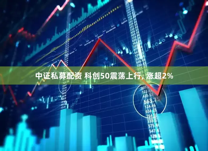 中证私募配资 科创50震荡上行, 涨超2%