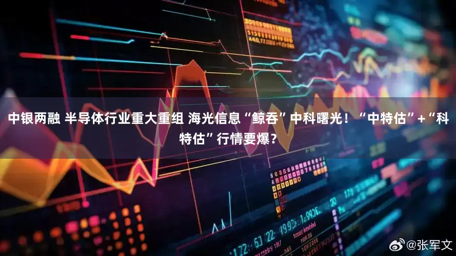 中银两融 半导体行业重大重组 海光信息“鲸吞”中科曙光！“中特估”+“科特估”行情要爆？