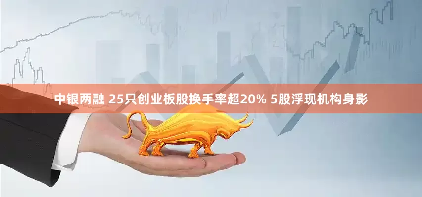 中银两融 25只创业板股换手率超20% 5股浮现机构身影